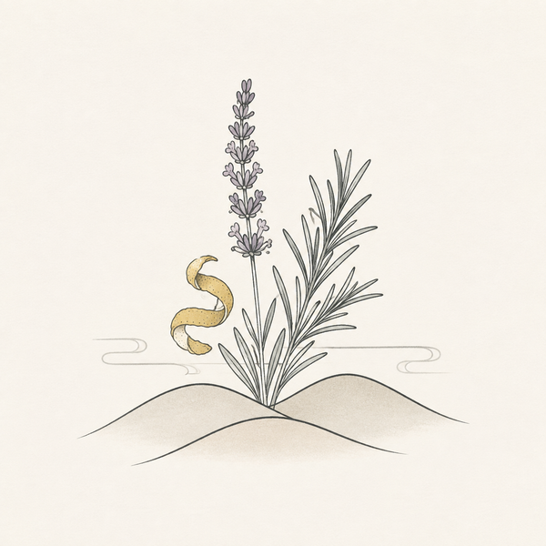Adelaide Hills botanical fragrance illustration