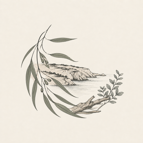 Illustration of mallee foliage, coastal herbs and dry woods