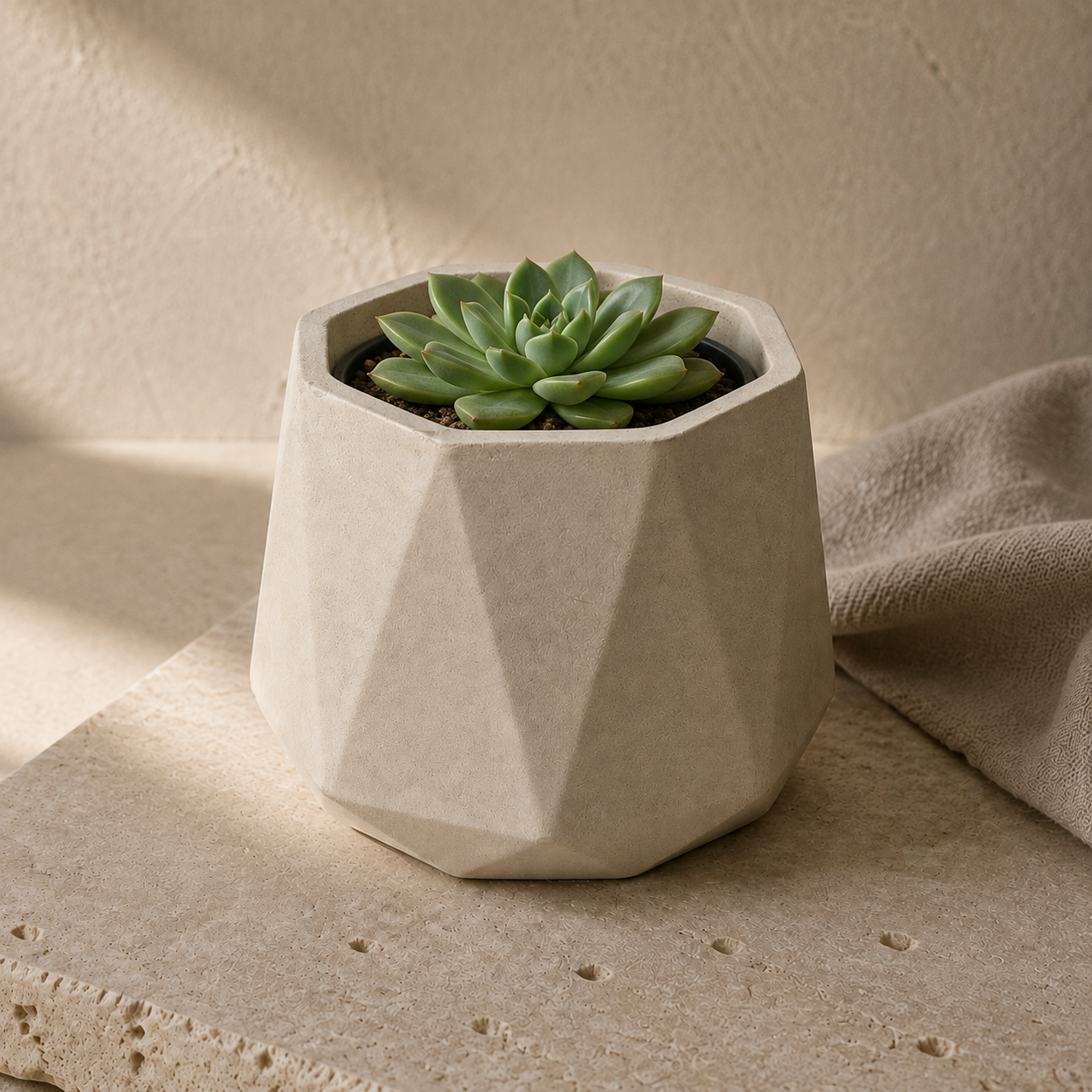 Succulent in a removable nursery pot inside the cream concrete vessel, illustrating reuse after the candle. Plant not included. AI-assisted visual.